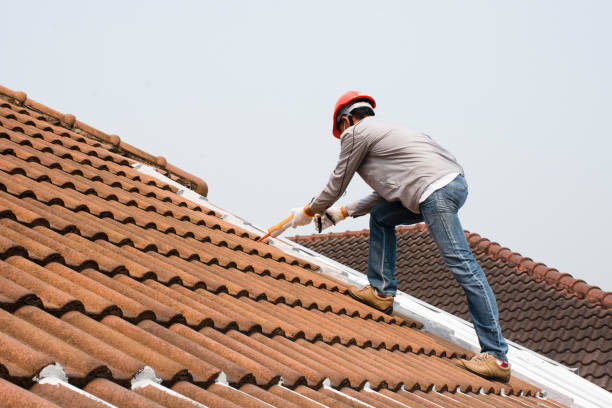 Best Wood Shake Roofing  in Archer Lodge, NC